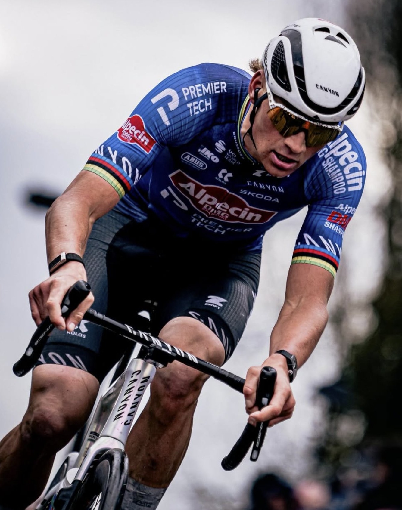 Coureur Alpecin en danseuse, effort maximal, maillot arc-en-ciel aux manches